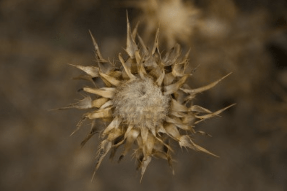 Screen shot 2012-11-30 at 8.34.37 PM