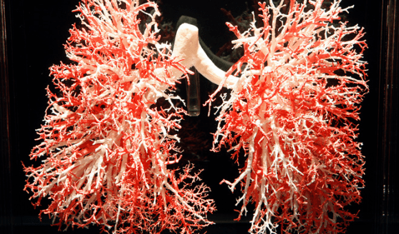 Screen Shot 2013-08-03 at 8.24.36 PM