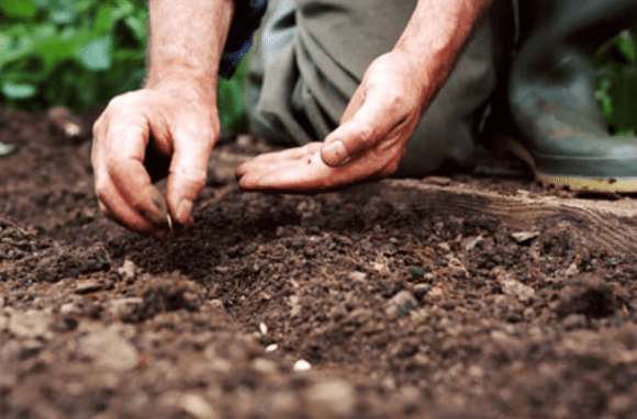 Screen Shot 2014-04-21 at 9.09.56 PM