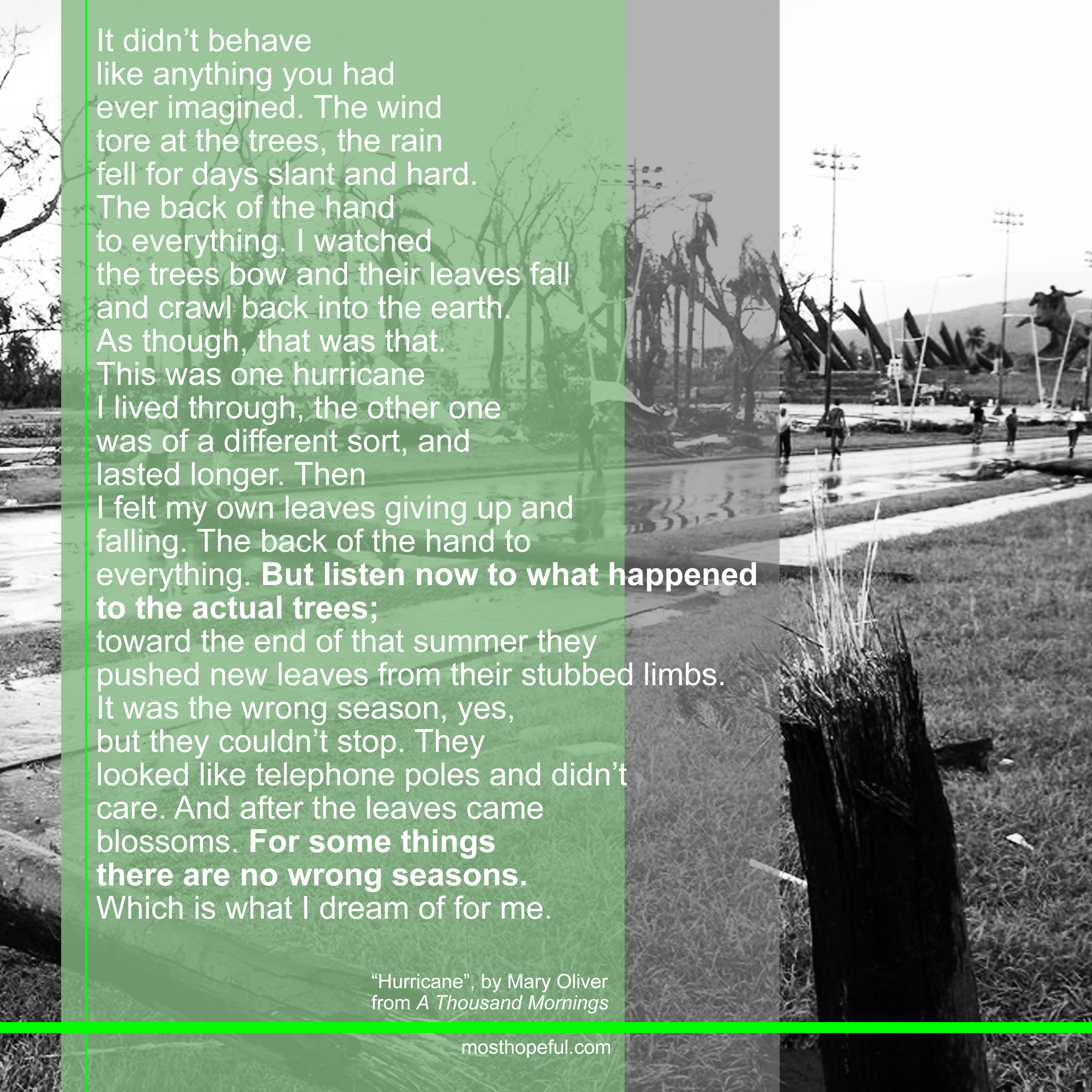 mary-oliver.hurrican