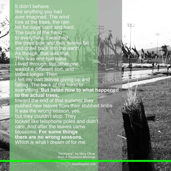 mary-oliver.hurrican